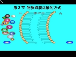 物质跨膜运输的方式 (2)