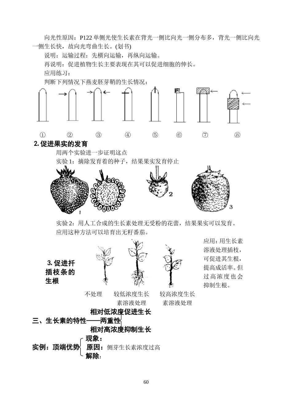 植物生命活动的调节_第2页