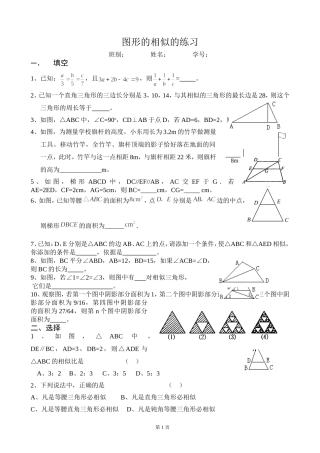 图形的相似的练习（周末练习2）