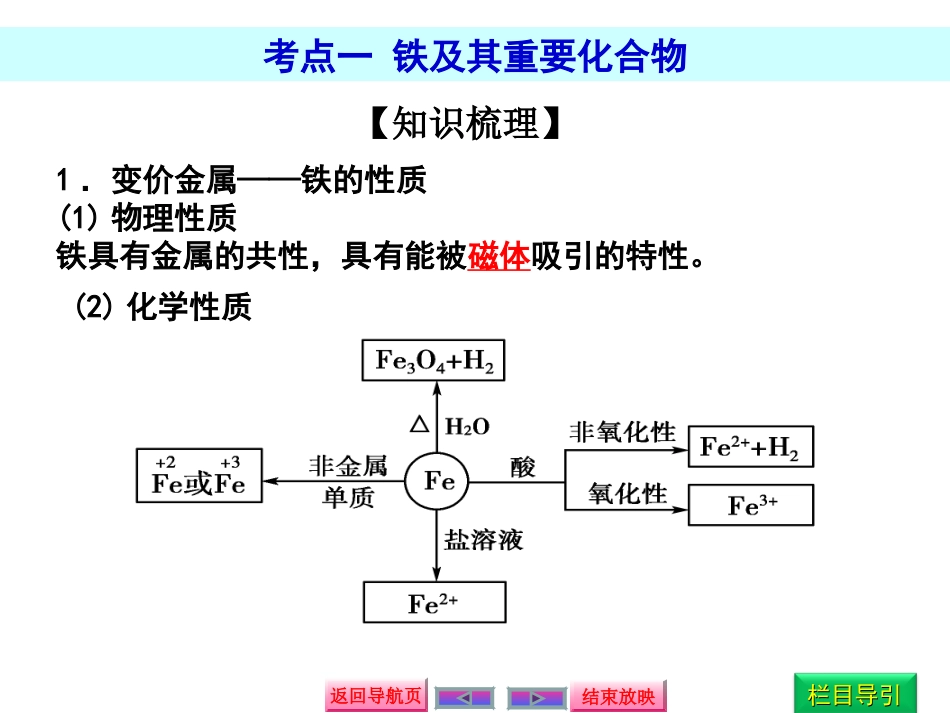 铁及其化合物_第3页