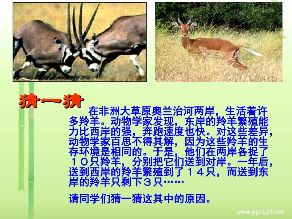 人生自强少年始(2)_第1页