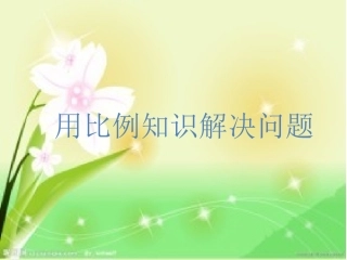 用比例知识解决问题