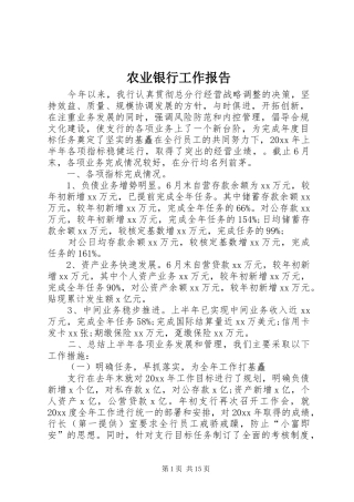 农业银行工作报告
