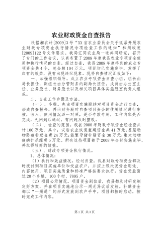 农业财政资金自查报告