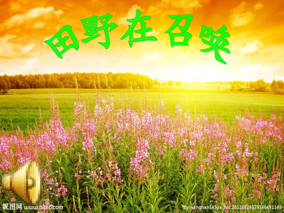 田野在召唤课件_第3页