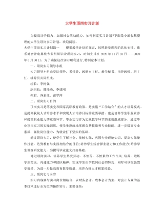 大学生顶岗实习计划 