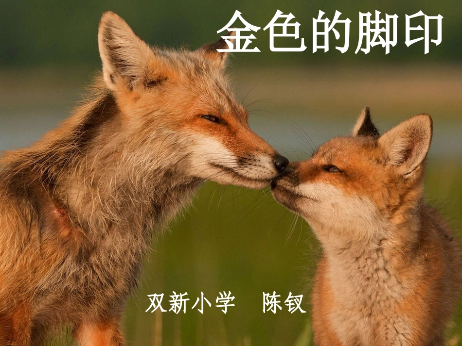 金色的脚印PPT_第2页