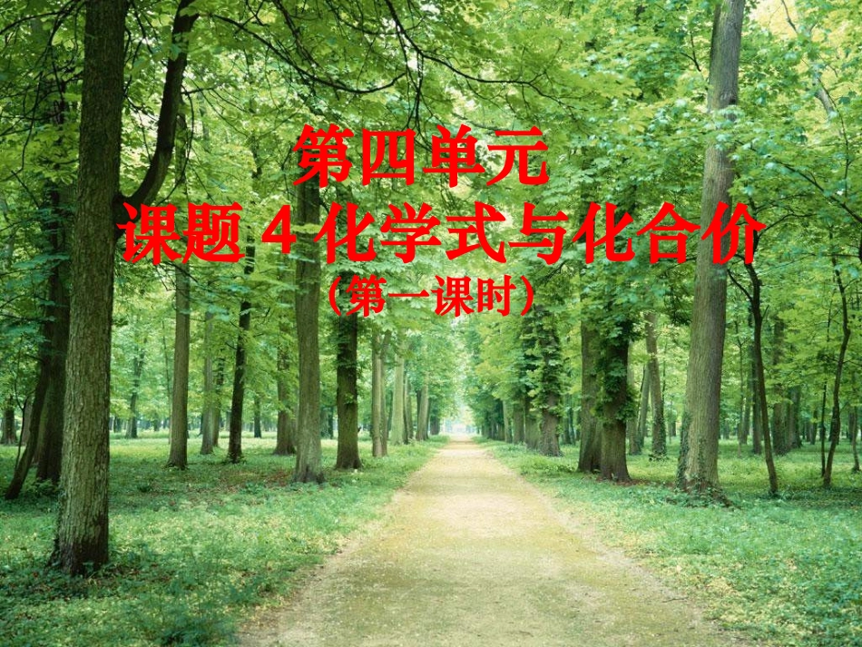 化学式与化合价第一课时_第3页