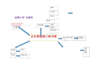 思维导图(许淑纯）