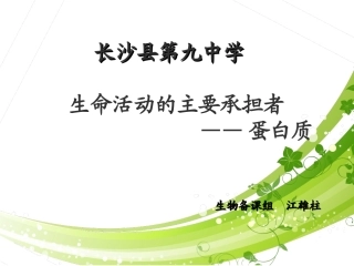 氨基酸的结构微课