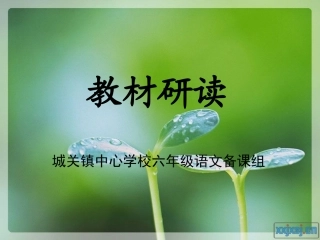 六年级语文教材研读