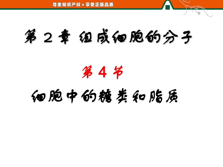细胞中的糖类和脂质 ()_第1页