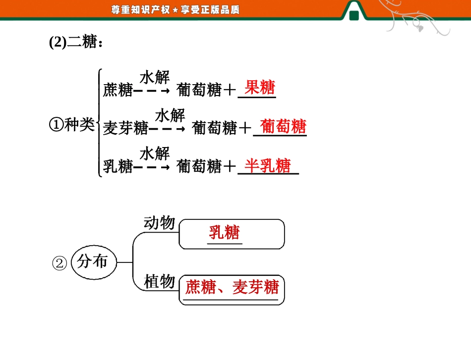 细胞中的糖类和脂质 ()_第3页