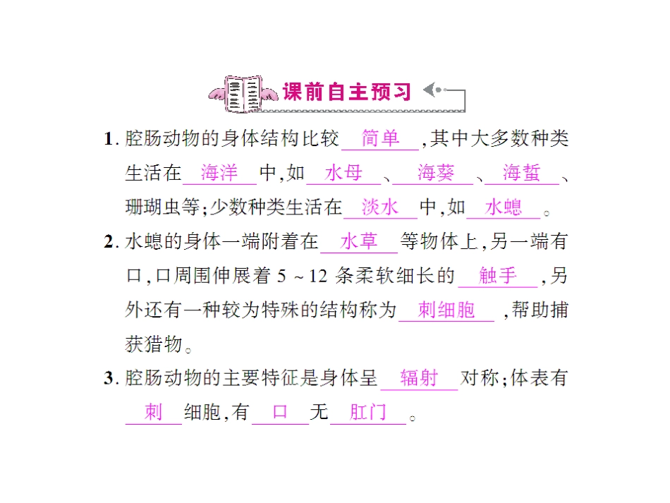 第1课时腔肠动物_第2页