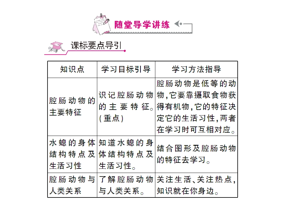 第1课时腔肠动物_第3页