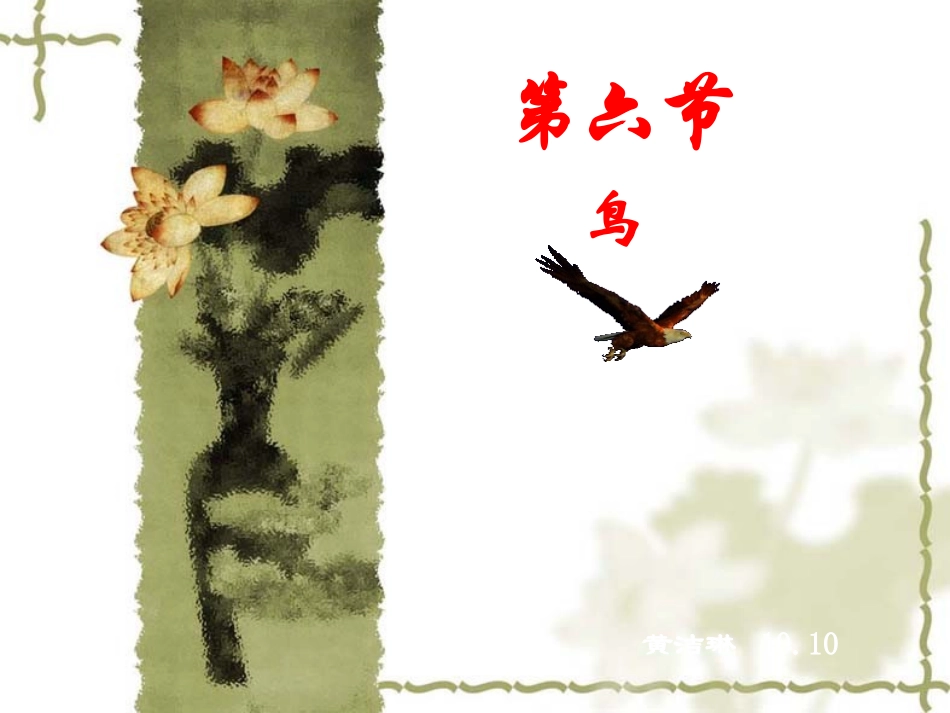 第六节鸟(好)_第3页