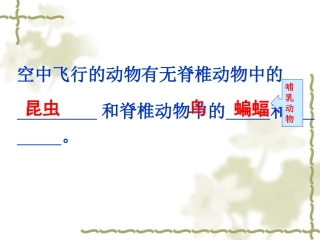 第六节鸟(好)