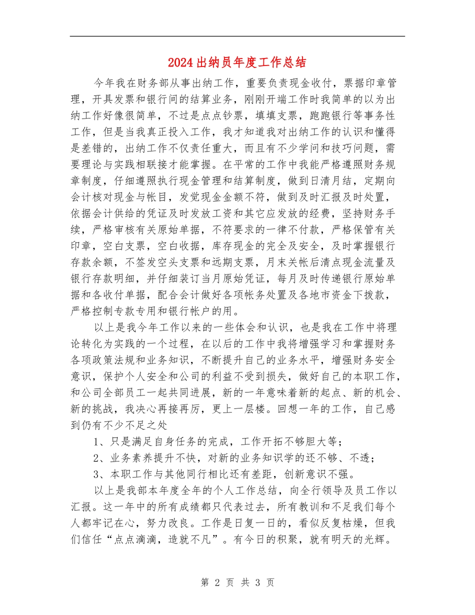 2024出纳员年度工作总结_第2页