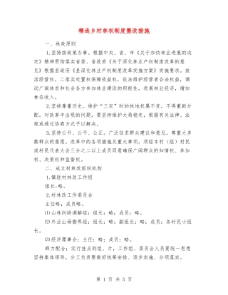 乡村林权制度整改措施