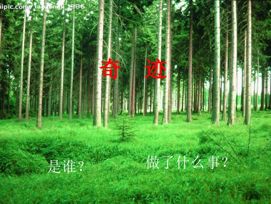 六年级语文上册《青山不老》课件-新人教版1_第1页