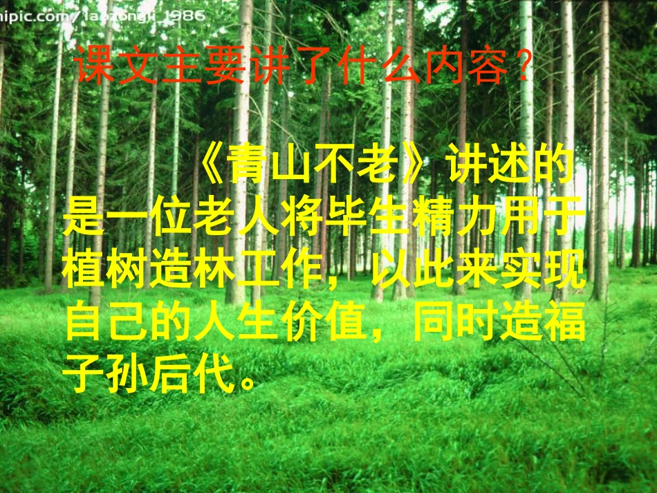 六年级语文上册《青山不老》课件-新人教版1_第2页