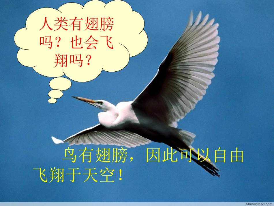 神奇的翅膀课件_第2页