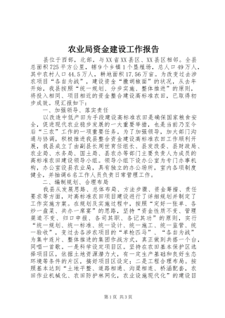 农业局资金建设工作报告