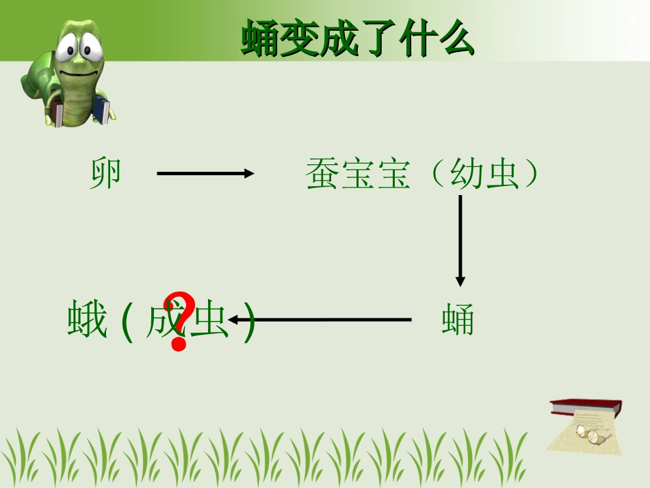 蛹变成了什么PPT三下_第2页
