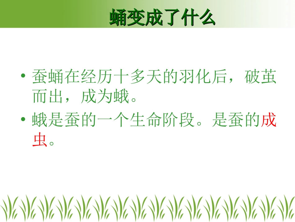 蛹变成了什么PPT三下_第3页