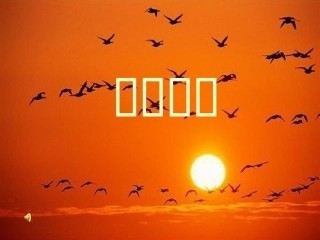 小学美术课件《橙色的画》