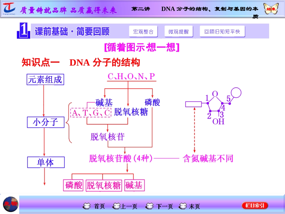 第二讲DNA分子的结构、复制与基因的本质_第2页