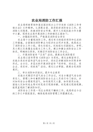 农业局消防工作汇报
