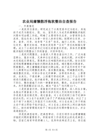 农业局庸懒散浮拖软整治自查报告