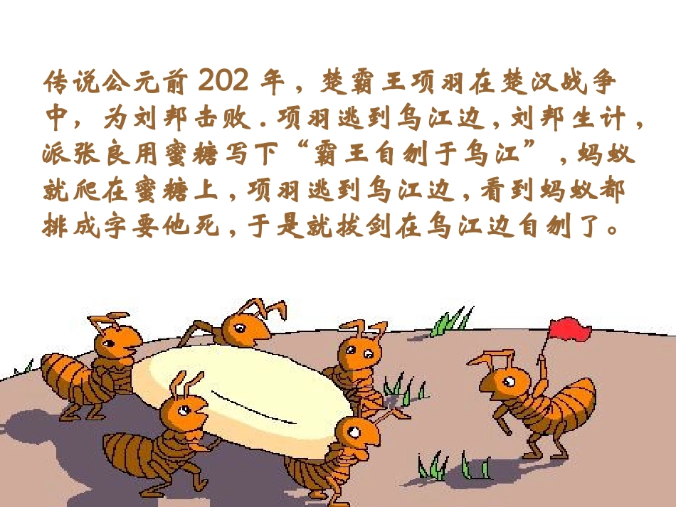 社会行为课件_第3页