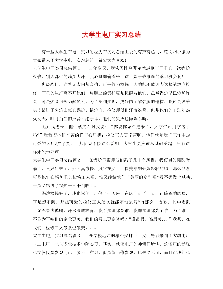 大学生电厂实习总结 _第1页