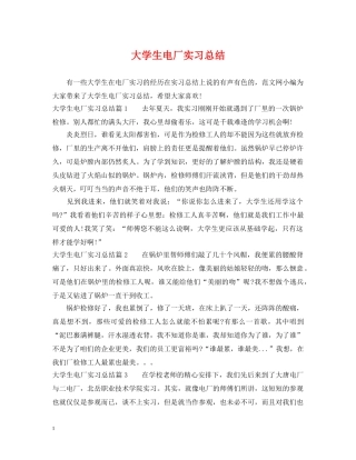 大学生电厂实习总结 