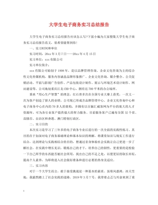 大学生电子商务实习总结报告 