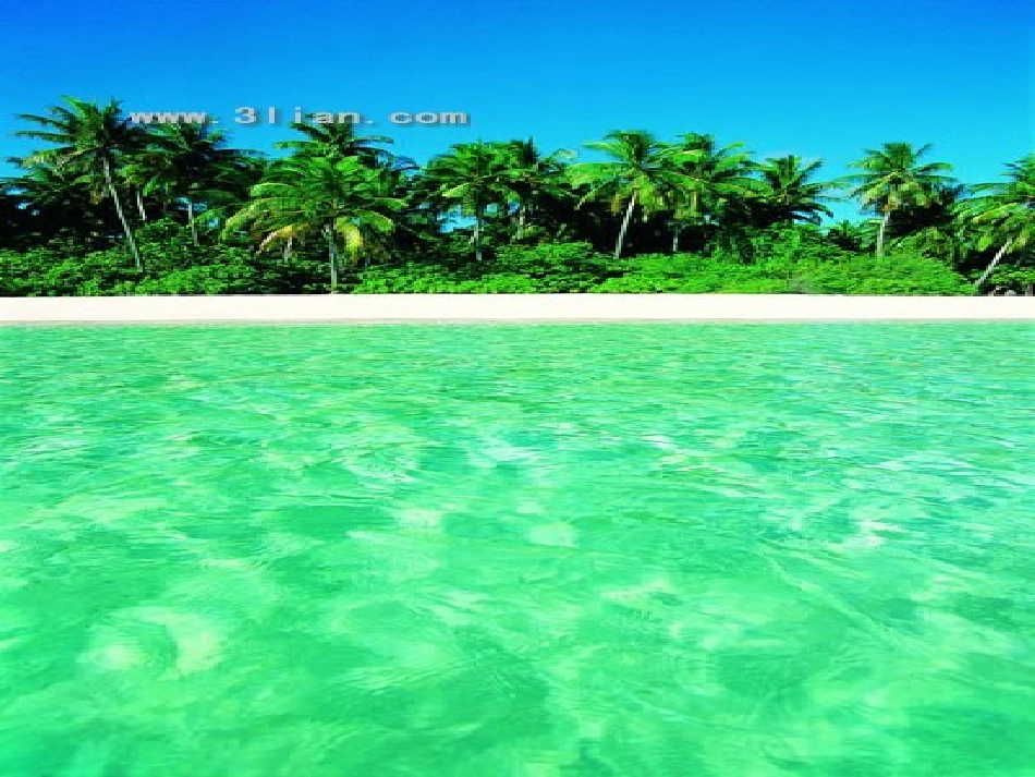 夏日的海滩课件_第1页
