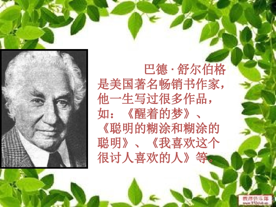 精彩极了和糟糕透了_第2页