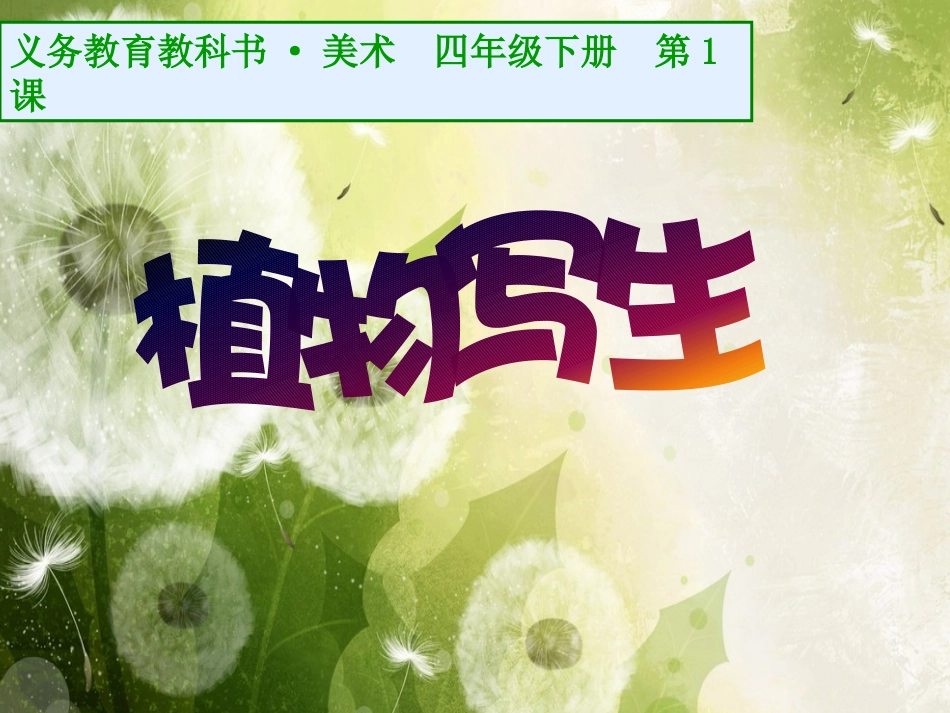 第01课植物写生_第1页