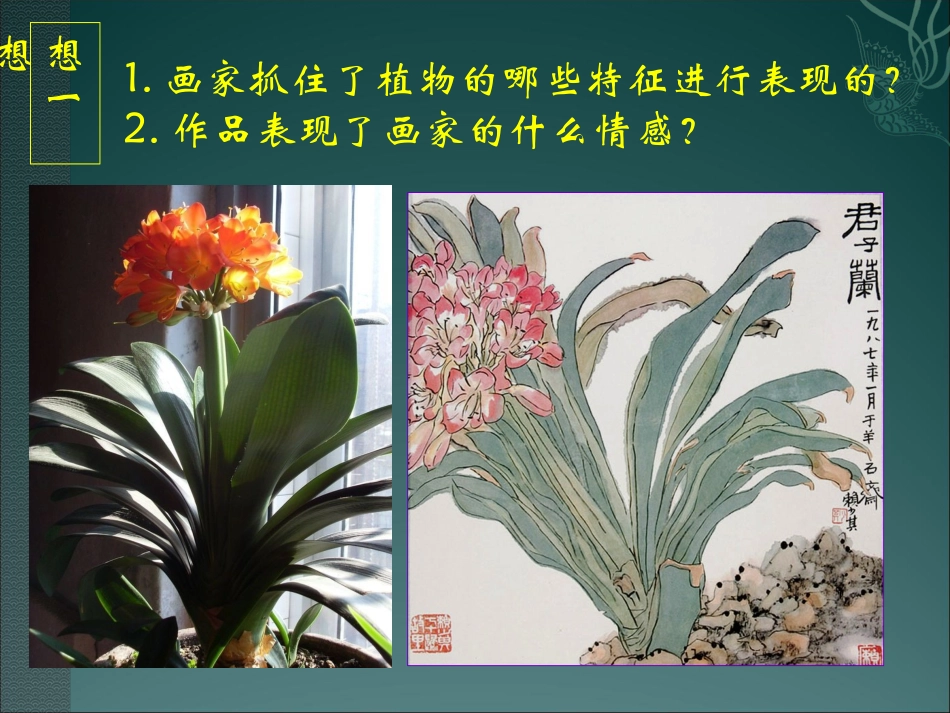 第01课植物写生_第3页