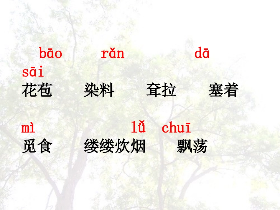 《槐乡的孩子》PPT课件 (2)_第3页