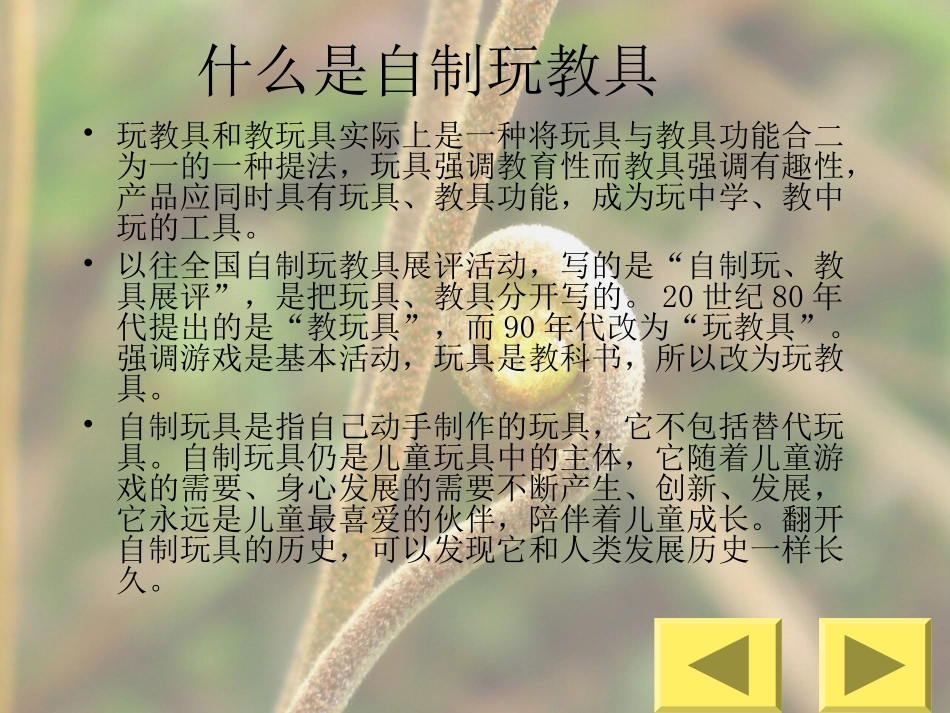 幼儿园自制玩教具_第2页