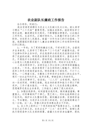 农业副队长廉政工作报告