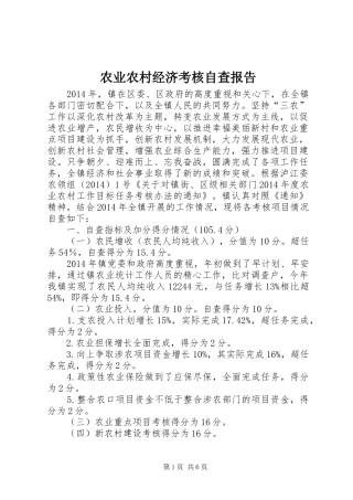 农业农村经济考核自查报告