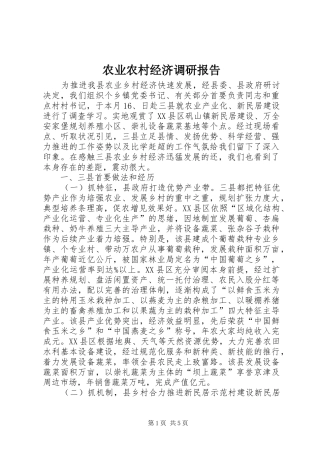 农业农村经济调研报告