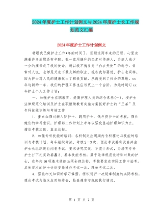 2024年度护士工作计划例文与2024年度护士长工作规划范文汇编