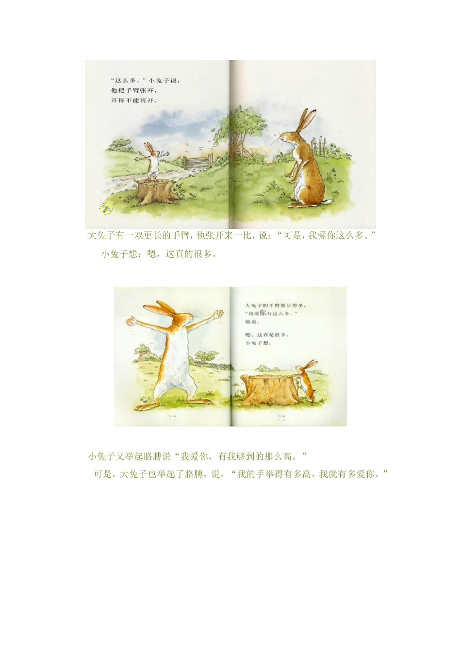绘本《猜猜我有多爱你》_第2页