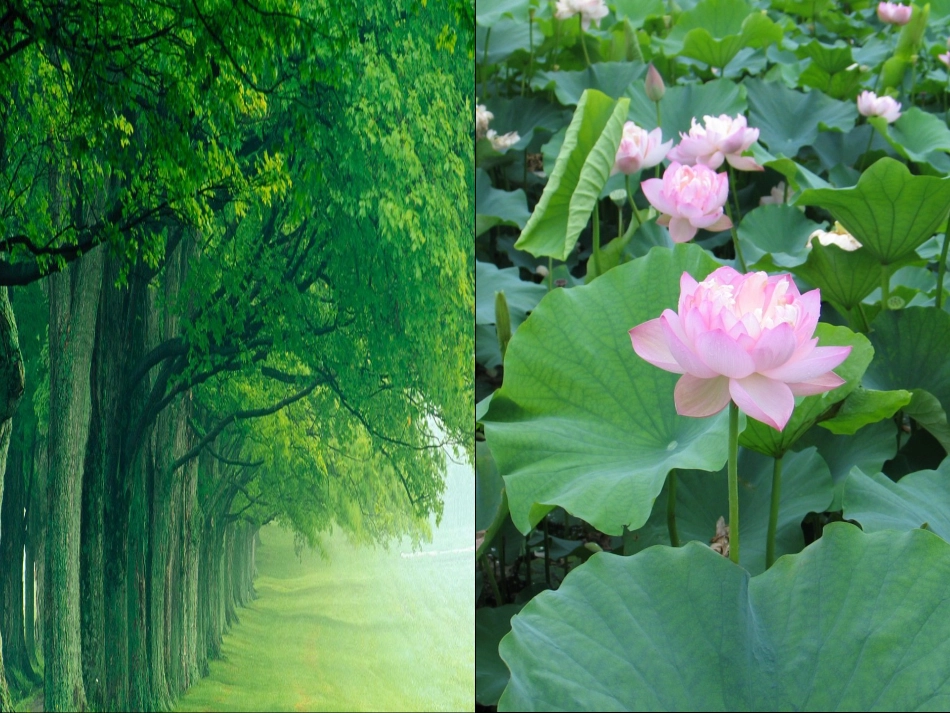 人教版一年级语文上册课文(一)2《四季》课件_第3页