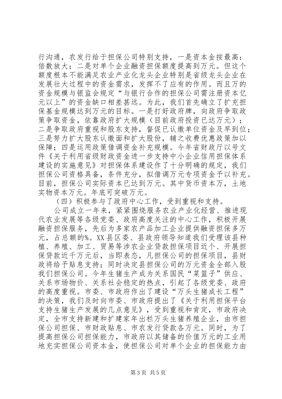 农业信用担保公司年度工作汇报_第3页
